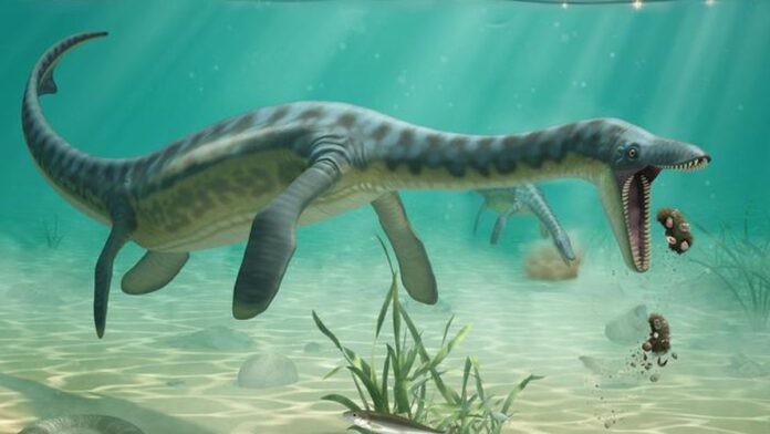 Vômito fossilizado de 160 milhões de anos revela onde plesiossauros comiam e descansavam após a refeição Vômito fossilizado de 160 milhões de anos revela onde plesiossauros comiam e descansavam após a refeição