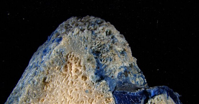 Plástico derrete em fragmentos de coral no Japão e cria material inseparável em praias de Okinawa Plástico derrete em fragmentos de coral no Japão e cria material inseparável em praias de Okinawa