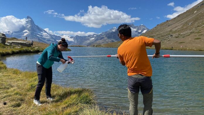 Bactérias de 24 lagos alpinos reduzem infecção por vírus e apontam caminho para proteger cultivos sem solo Bactérias de 24 lagos alpinos reduzem infecção por vírus e apontam caminho para proteger cultivos sem solo