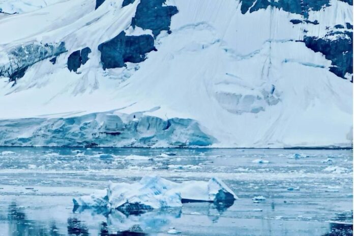 Antártica deve perder mais gelo neste século mesmo com limite de 1,5°C, elevando risco para áreas costeiras Antártica deve perder mais gelo neste século mesmo com limite de 1,5°C, elevando risco para áreas costeiras