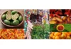 Caso brasileiro usa espécies nativas pouco aproveitadas, entre 2012 e 2017, para diversificar a alimentação Caso brasileiro usa espécies nativas pouco aproveitadas, entre 2012 e 2017, para diversificar a alimentação
