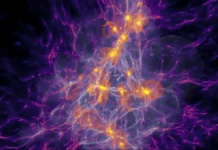 Simulações seguem as primeiras estrelas e mostram como carbono, oxigênio e ferro chegaram ao Universo Simulações seguem as primeiras estrelas e mostram como carbono, oxigênio e ferro chegaram ao Universo