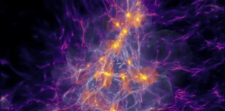 Simulações seguem as primeiras estrelas e mostram como carbono, oxigênio e ferro chegaram ao Universo Simulações seguem as primeiras estrelas e mostram como carbono, oxigênio e ferro chegaram ao Universo