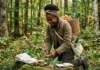 Do quintal à mesa: como a Black Forager transformou plantas esquecidas em uma nova forma de comer Do quintal à mesa: como a Black Forager transformou plantas esquecidas em uma nova forma de comer