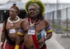 Bioeconomia amazônica atrai investimentos, mas comunidades ainda podem perder o controle sobre seus saberes Bioeconomia amazônica atrai investimentos, mas comunidades ainda podem perder o controle sobre seus saberes