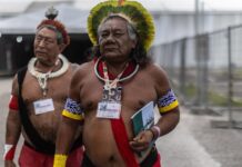Bioeconomia amazônica atrai investimentos, mas comunidades ainda podem perder o controle sobre seus saberes Bioeconomia amazônica atrai investimentos, mas comunidades ainda podem perder o controle sobre seus saberes