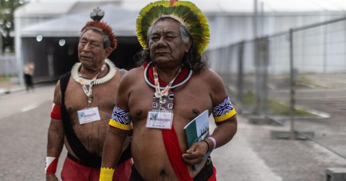 Bioeconomia amazônica atrai investimentos, mas comunidades ainda podem perder o controle sobre seus saberes Bioeconomia amazônica atrai investimentos, mas comunidades ainda podem perder o controle sobre seus saberes