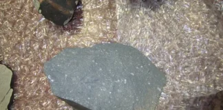 Meteorito caído em 2008 revela campo magnético de 4,5 bilhões de anos que pode ter alimentado o Sol Meteorito caído em 2008 revela campo magnético de 4,5 bilhões de anos que pode ter alimentado o Sol