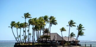 Tuvalu, com ponto mais alto a 2 metros, mostra ilhas tomadas pelo mar antes da COP31 no Pacífico Tuvalu, com ponto mais alto a 2 metros, mostra ilhas tomadas pelo mar antes da COP31 no Pacífico