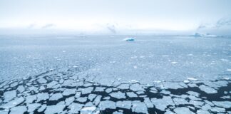 Antártida tem terceiro menor pico de gelo marinho em 48 anos, e Ártico empata no 10º pior nível Antártida tem terceiro menor pico de gelo marinho em 48 anos, e Ártico empata no 10º pior nível