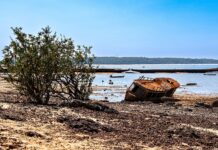 El Niño na Amazônia: como o fenômeno seca rios e favorece o fogo El Niño na Amazônia: como o fenômeno seca rios e favorece o fogo