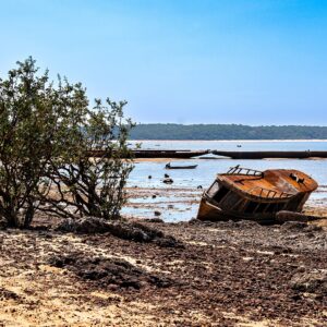El Niño na Amazônia: como o fenômeno seca rios e favorece o fogo El Niño na Amazônia: como o fenômeno seca rios e favorece o fogo