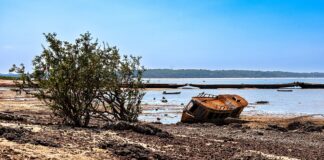 El Niño na Amazônia: como o fenômeno seca rios e favorece o fogo El Niño na Amazônia: como o fenômeno seca rios e favorece o fogo