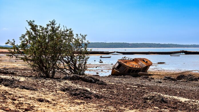 El Niño na Amazônia: como o fenômeno seca rios e favorece o fogo El Niño na Amazônia: como o fenômeno seca rios e favorece o fogo