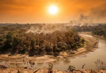 El Niño e Atlântico aquecido podem antecipar em até sete meses o calor extremo na Amazônia El Niño e Atlântico aquecido podem antecipar em até sete meses o calor extremo na Amazônia