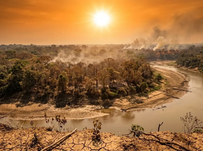 El Niño e Atlântico aquecido podem antecipar em até sete meses o calor extremo na Amazônia El Niño e Atlântico aquecido podem antecipar em até sete meses o calor extremo na Amazônia