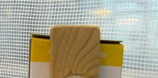 Abelhas carregam vírus que combatem bactérias e protegem flores de cerejeira contra doenças Abelhas carregam vírus que combatem bactérias e protegem flores de cerejeira contra doenças