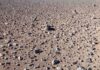 Técnica elétrica distingue moléculas em meteorito e solo do Atacama e pode buscar sinais de vida no espaço Técnica elétrica distingue moléculas em meteorito e solo do Atacama e pode buscar sinais de vida no espaço