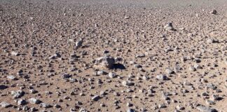 Técnica elétrica distingue moléculas em meteorito e solo do Atacama e pode buscar sinais de vida no espaço Técnica elétrica distingue moléculas em meteorito e solo do Atacama e pode buscar sinais de vida no espaço