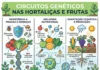 Circuitos genéticos podem ajudar hortaliças e frutas a resistir ao clima extremo sem perder produtividade Circuitos genéticos podem ajudar hortaliças e frutas a resistir ao clima extremo sem perder produtividade