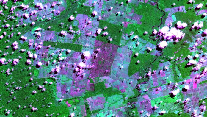 Amazônia vista do espaço: como os satélites do INPE flagram o desmate Amazônia vista do espaço: como os satélites do INPE flagram o desmate