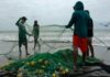 El Niño aquece o Pacífico em até 6°C, afasta peixes e reduz renda de pescadores do Equador ao Panamá El Niño aquece o Pacífico em até 6°C, afasta peixes e reduz renda de pescadores do Equador ao Panamá