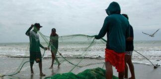 El Niño aquece o Pacífico em até 6°C, afasta peixes e reduz renda de pescadores do Equador ao Panamá El Niño aquece o Pacífico em até 6°C, afasta peixes e reduz renda de pescadores do Equador ao Panamá