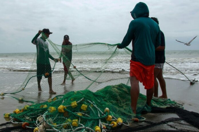 El Niño aquece o Pacífico em até 6°C, afasta peixes e reduz renda de pescadores do Equador ao Panamá El Niño aquece o Pacífico em até 6°C, afasta peixes e reduz renda de pescadores do Equador ao Panamá