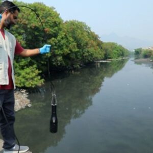 Rios do Rio levam cocaína à Baía de Guanabara, e teste com peixes revela danos em doses ambientais Rios do Rio levam cocaína à Baía de Guanabara, e teste com peixes revela danos em doses ambientais