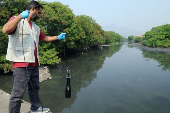 Rios do Rio levam cocaína à Baía de Guanabara, e teste com peixes revela danos em doses ambientais Rios do Rio levam cocaína à Baía de Guanabara, e teste com peixes revela danos em doses ambientais
