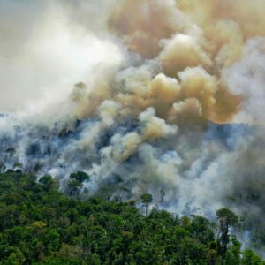 Novo Congresso terá 68,9% de parlamentares com baixa adesão ambiental e amplia risco de retrocessos Novo Congresso terá 68,9% de parlamentares com baixa adesão ambiental e amplia risco de retrocessos