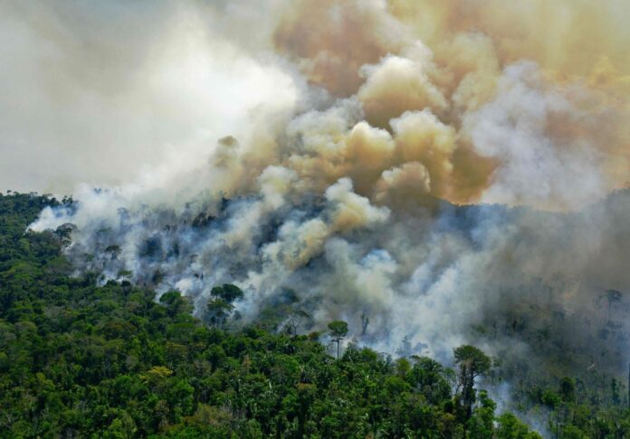 Novo Congresso terá 68,9% de parlamentares com baixa adesão ambiental e amplia risco de retrocessos Novo Congresso terá 68,9% de parlamentares com baixa adesão ambiental e amplia risco de retrocessos
