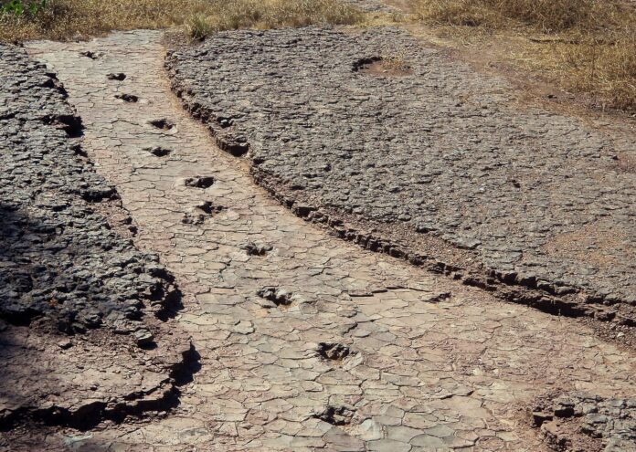 Dinossauros na Amazônia: por que achamos tão poucos fósseis? Dinossauros na Amazônia: por que achamos tão poucos fósseis?