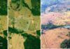 Estradas antigas do Acre: 955 vias retas saíam de geoglifos Estradas antigas do Acre: 955 vias retas saíam de geoglifos