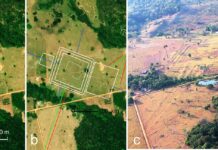 Estradas antigas do Acre: 955 vias retas saíam de geoglifos Estradas antigas do Acre: 955 vias retas saíam de geoglifos