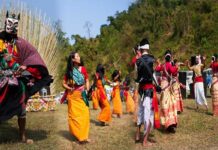 Festival de aves reúne estudantes e moradores no Himalaia e transforma conservação em roteiro de turismo Festival de aves reúne estudantes e moradores no Himalaia e transforma conservação em roteiro de turismo