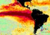 Pacífico sai de La Niña e chega a El Niño recorde em quatro meses, com anomalia de 3,2°C Pacífico sai de La Niña e chega a El Niño recorde em quatro meses, com anomalia de 3,2°C