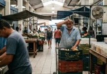 Super El Niño se forma em setembro, aquece Pacífico em até 3 °C e pode ser o mais forte já monitorado Super El Niño se forma em setembro, aquece Pacífico em até 3 °C e pode ser o mais forte já monitorado