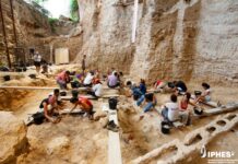 597 vestígios de madeira reconstroem a vida neandertal em abrigo espanhol ao longo de 20 mil anos 597 vestígios de madeira reconstroem a vida neandertal em abrigo espanhol ao longo de 20 mil anos