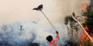 Super El Niño avança pelo Pacífico, ameaça acelerar incêndios e pode levar o calor extremo a 2027 Super El Niño avança pelo Pacífico, ameaça acelerar incêndios e pode levar o calor extremo a 2027