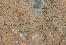 Seca mata 90% do algodão de sequeiro no Texas e expõe o esvaziamento de aquífero agrícola Seca mata 90% do algodão de sequeiro no Texas e expõe o esvaziamento de aquífero agrícola