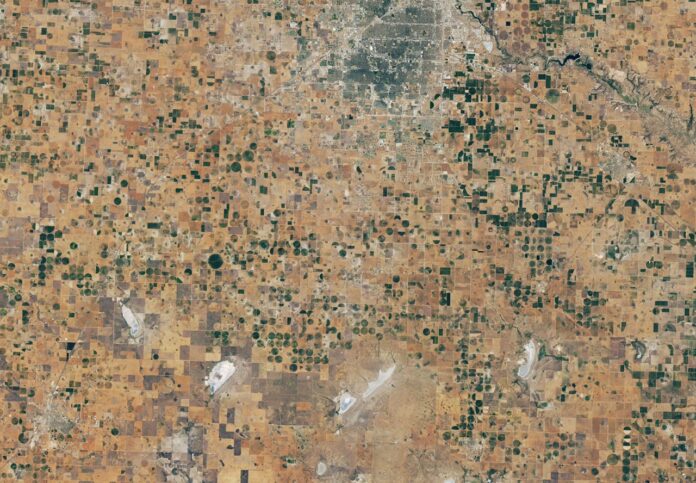 Seca mata 90% do algodão de sequeiro no Texas e expõe o esvaziamento de aquífero agrícola Seca mata 90% do algodão de sequeiro no Texas e expõe o esvaziamento de aquífero agrícola
