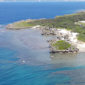 Peixes continuam abundantes em costas urbanizadas de Okinawa, mas genes revelam estresse crônico Peixes continuam abundantes em costas urbanizadas de Okinawa, mas genes revelam estresse crônico