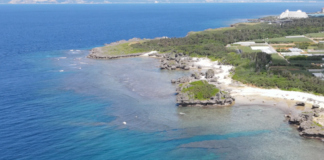 Peixes continuam abundantes em costas urbanizadas de Okinawa, mas genes revelam estresse crônico Peixes continuam abundantes em costas urbanizadas de Okinawa, mas genes revelam estresse crônico