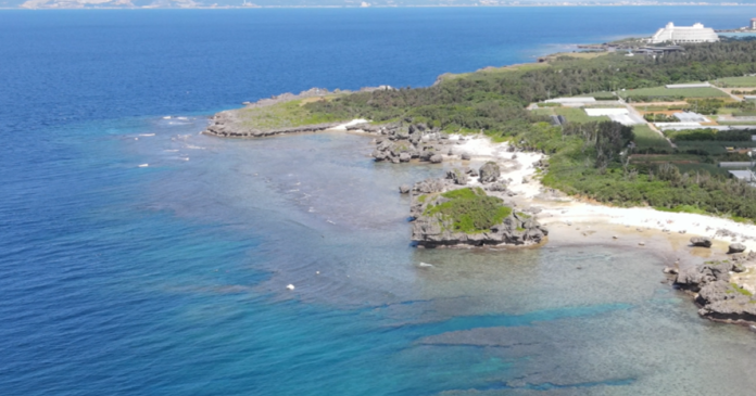 Peixes continuam abundantes em costas urbanizadas de Okinawa, mas genes revelam estresse crônico Peixes continuam abundantes em costas urbanizadas de Okinawa, mas genes revelam estresse crônico