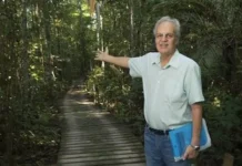 Carlos Nobre recebe prêmio internacional após quatro décadas de ciência dedicada à Amazônia Carlos Nobre recebe prêmio internacional após quatro décadas de ciência dedicada à Amazônia