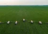 Brasil reduz diferença para os EUA e pode liderar exportações agrícolas em 2026 com ganho de produtividade Brasil reduz diferença para os EUA e pode liderar exportações agrícolas em 2026 com ganho de produtividade