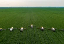Brasil reduz diferença para os EUA e pode liderar exportações agrícolas em 2026 com ganho de produtividade Brasil reduz diferença para os EUA e pode liderar exportações agrícolas em 2026 com ganho de produtividade