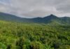 Fumaça de incêndios reduz em 24% a absorção de carbono da Amazônia e agrava perdas na seca Fumaça de incêndios reduz em 24% a absorção de carbono da Amazônia e agrava perdas na seca