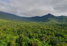 Fumaça de incêndios reduz em 24% a absorção de carbono da Amazônia e agrava perdas na seca Fumaça de incêndios reduz em 24% a absorção de carbono da Amazônia e agrava perdas na seca